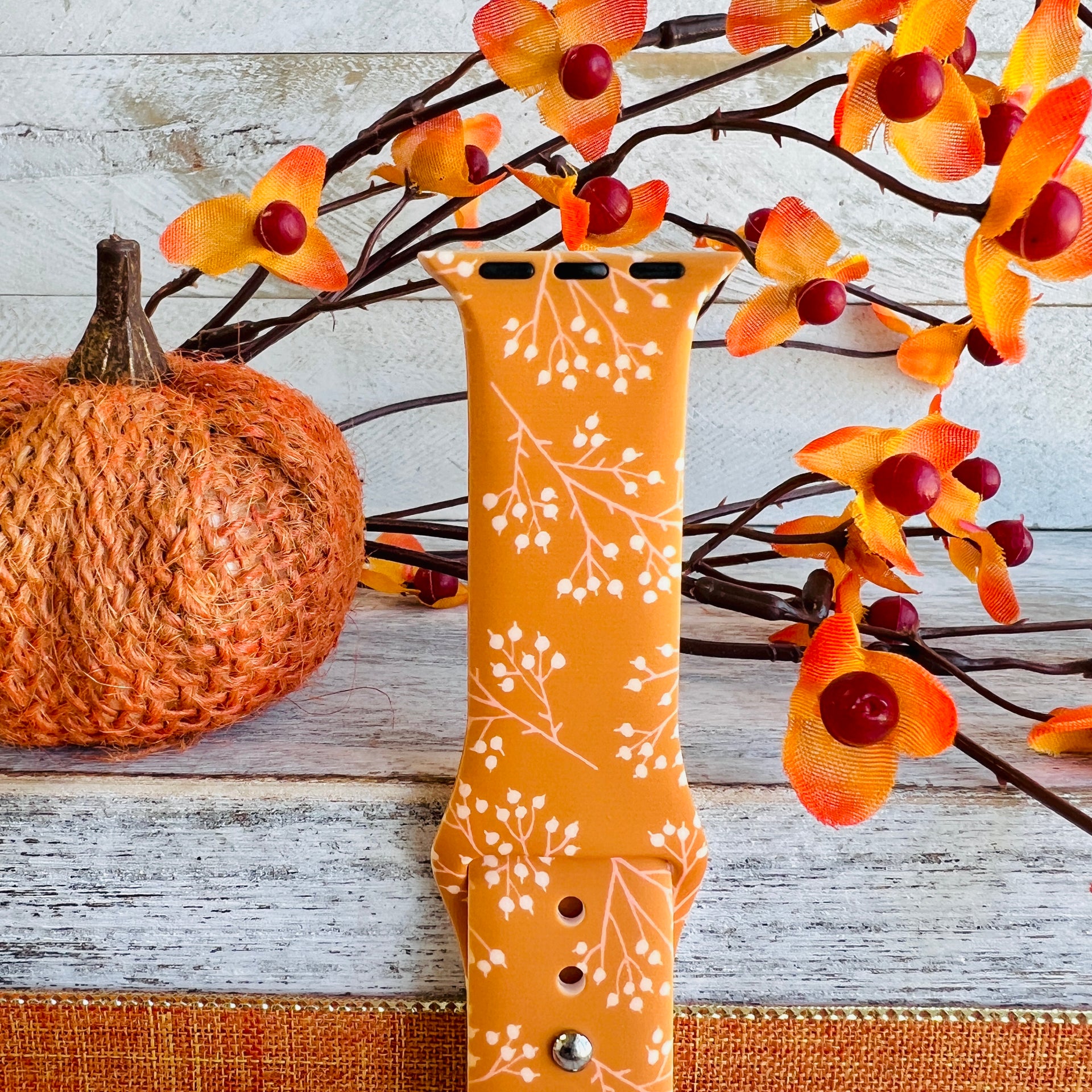 Fancy Bands Your Source For The Fanciest Bands For Apple Watch